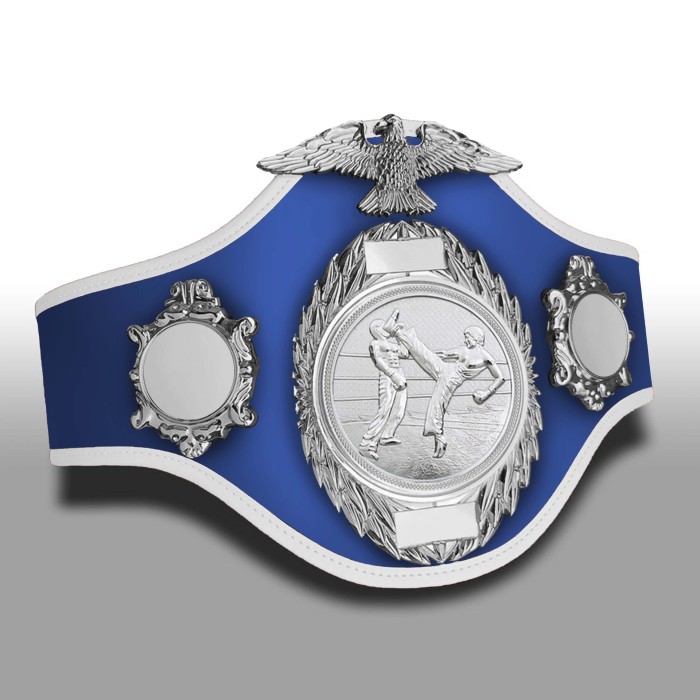KICKBOXING CHAMPIONSHIP BELT-PRO288/S/KBOS - 10 COLOURS